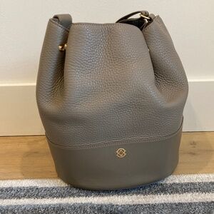 EUC Dagne Dover Ava Leather Bucket Bag in Pebble Color